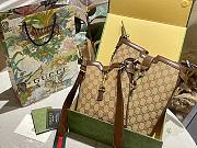 1ouis Vu1tton Original GG 21.5x26.5cm - 5