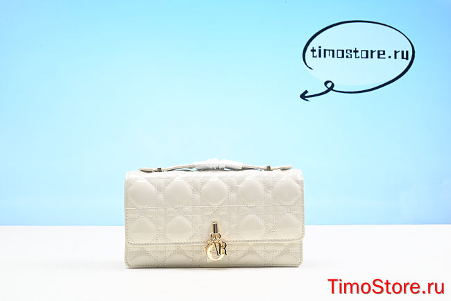 D1or  lady Bag 21cm - 1