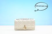 D1or  lady Bag 21cm - 1