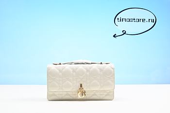 D1or  lady Bag 21cm