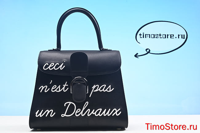 Delvaux   handbag 28cm - 1