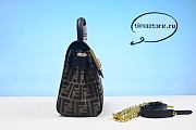 Fend1 Bag 25cm  - 5