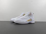 Air Jordan 12 “Phantom”  FD9101-007 - 6