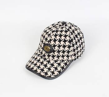 Gvcc1 cap 1