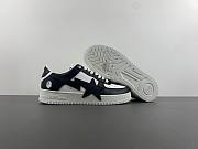BAPE STA 1 - 5