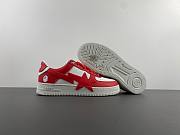BAPE STA 2 - 4