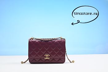 chane1 bag 19cm 