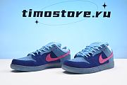 Run The Jewels x Nike SB Dunk Low  DO9404-400  - 2