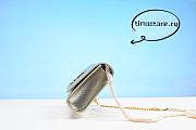 YS1 Metallic Calfskin Classic Monogram Kate Tassel Chain Wallet Platine 24cm - 4