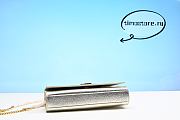 YS1 Metallic Calfskin Classic Monogram Kate Tassel Chain Wallet Platine 24cm - 3