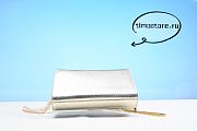 YS1 Metallic Calfskin Classic Monogram Kate Tassel Chain Wallet Platine 24cm - 2