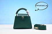 1ouis Vu1tton Capucines BB 20CM - 1