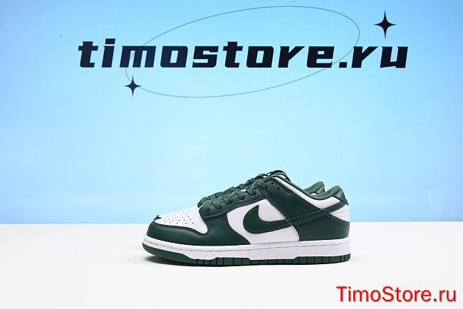 Nike Dunk Low Michigan State DD1391-101 - 1