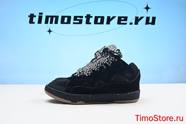 Lanvin shoes 10 - 1