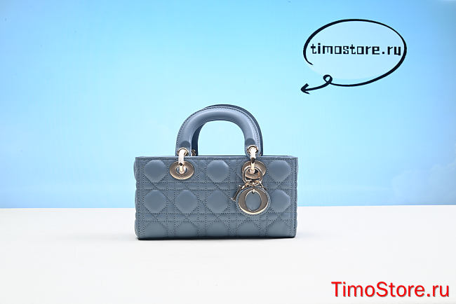 D1OR -  Lady D1or Bag  22cm  - 1