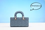 D1OR -  Lady D1or Bag  22cm  - 6
