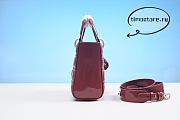 D1or Lady Dior Cherry 20CM  - 2