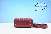 D1or Lady Dior Cherry 20CM  - 3
