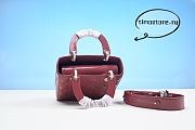 D1or Lady Dior Cherry 20CM  - 5
