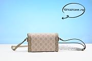 Gvcc1 1955mini bag 18cm - 2