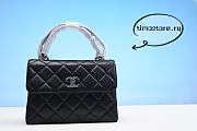 Chene1Trendy CC Small Flap bag - 1