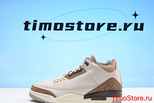 Air Jordan 3 “Palomino”  CT8532-102 - 1
