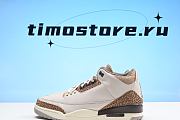 Air Jordan 3 “Palomino”  CT8532-102 - 1
