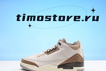 Air Jordan 3 “Palomino”  CT8532-102