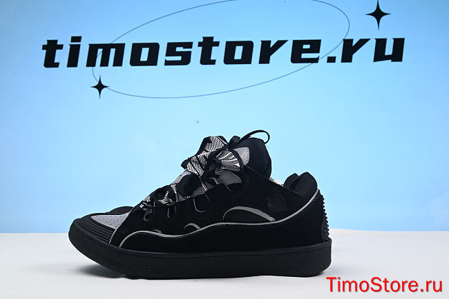 Lanvin shoes 11 - 1