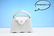 1ouis Vu1tton  Capucines Mini 21cm  - 1