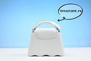 1ouis Vu1tton  Capucines Mini 21cm  - 6