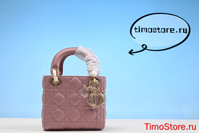 D1or  lady Bag  pink  17cm  - 1
