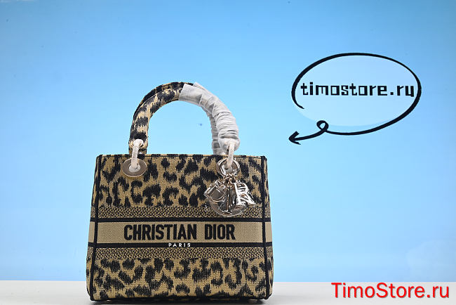 D1OR LADY D-LITE BAG 130604A10  Size:24x20x11cm - 1