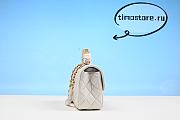 Chene1 Chanel Flap Bag CF 21cm  - 5