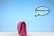 chene1 Flap Bag 25cm  - 5