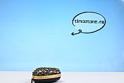 Chene1 2023 CC Heart Minaudiere  - 4