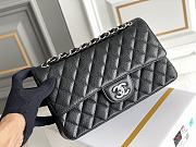 chene1  CF Classic flap 25CM  - 5