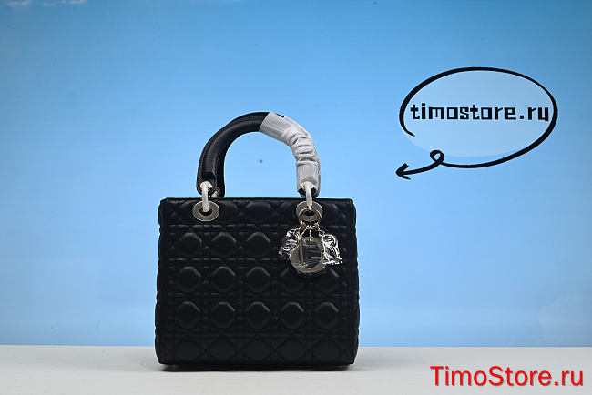 D1or | Lady Bag1605-24cm - 1
