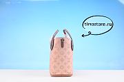1ouis Vu1tton LV Hina bag M54353 23cm - 5