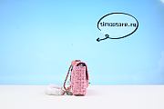  Chane1  the 23P pink woolen plastic bag 253488  16.5cm - 6