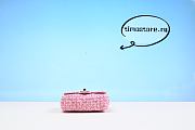  Chane1  the 23P pink woolen plastic bag 253488  16.5cm - 4