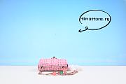  Chane1  the 23P pink woolen plastic bag 253488  16.5cm - 3