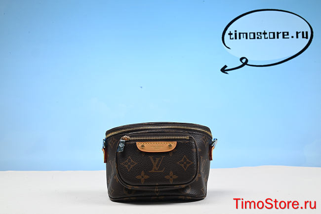 1ouis Vu1tton  Pre-Owned 2021-present Monogram Mini Bumbag satchel 17cm - 1