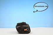 1ouis Vu1tton  Pre-Owned 2021-present Monogram Mini Bumbag satchel 17cm - 2
