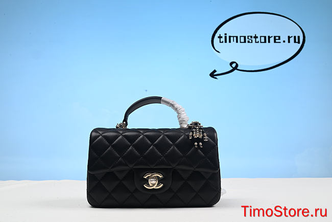 chene1 1005 Mini Classic Flap Bag 20cm - 1