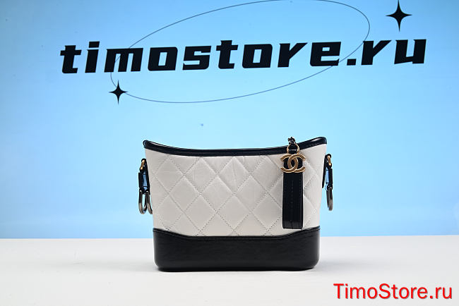 chene1   Gabrielle hobo bag 20cm  - 1