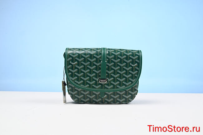 Goyard Belvedere PM Green  22cm - 1