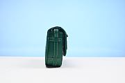 Goyard Belvedere PM Green  22cm - 4