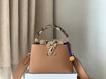 LV-Capucines brown