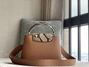 LV Capucines 27cm - 5